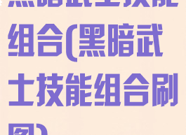 黑暗武士技能组合(黑暗武士技能组合刷图)