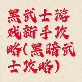 黑武士游戏新手攻略(黑暗武士攻略)