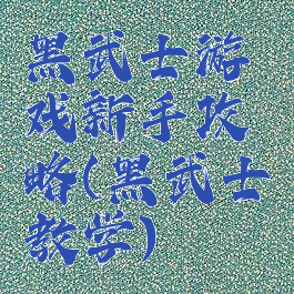 黑武士游戏新手攻略(黑武士教学)