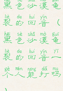 黑色沙漠龟裂的回音(黑色沙漠龟裂的回音一个人能打吗)