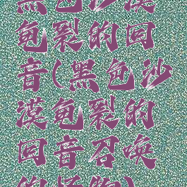 黑色沙漠龟裂的回音(黑色沙漠龟裂的回音召唤的怪物)