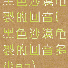 黑色沙漠龟裂的回音(黑色沙漠龟裂的回音多少ap)