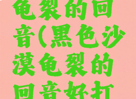 黑色沙漠龟裂的回音(黑色沙漠龟裂的回音好打吗)