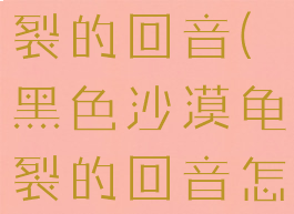 黑色沙漠龟裂的回音(黑色沙漠龟裂的回音怎么获得)