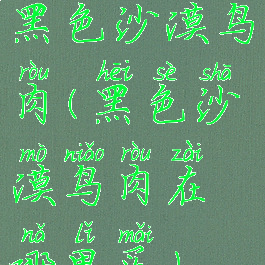 黑色沙漠鸟肉(黑色沙漠鸟肉在哪里买)