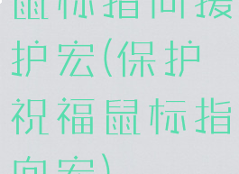 鼠标指向援护宏(保护祝福鼠标指向宏)