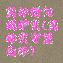 鼠标指向援护宏(鼠标宏守望先锋)