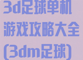 3d足球单机游戏攻略大全(3dm足球)