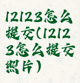 12123怎么提交(12123怎么提交照片)