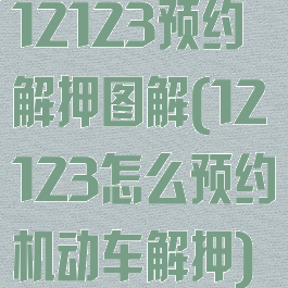 12123预约解押图解(12123怎么预约机动车解押)