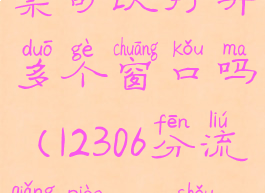 12306分流抢票可以打开多个窗口吗(12306分流抢票app手机版)