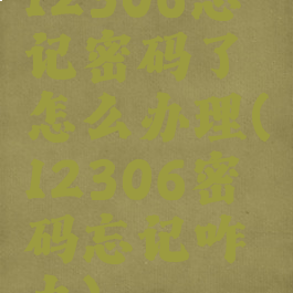 12306忘记密码了怎么办理(12306密码忘记咋办)