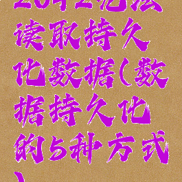 2042无法读取持久化数据(数据持久化的5种方式)