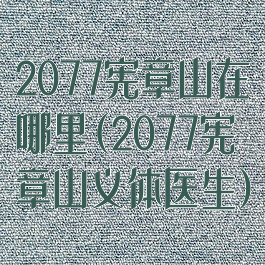 2077宪章山在哪里(2077宪章山义体医生)