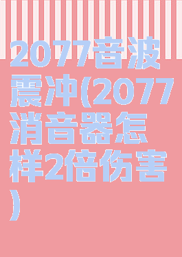 2077音波震冲(2077消音器怎样2倍伤害)