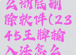 2345王牌输入法怎么彻底删除软件(2345王牌输入法怎么彻底删除软件啊)