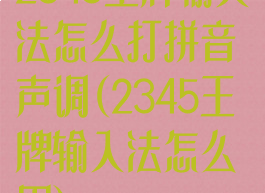 2345王牌输入法怎么打拼音声调(2345王牌输入法怎么用)