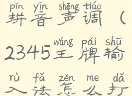 2345王牌输入法怎么打拼音声调(2345王牌输入法怎么打拼音声调的)