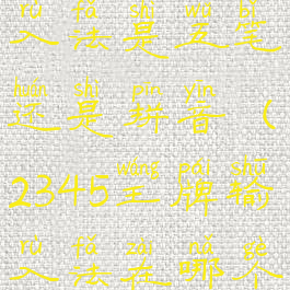 2345王牌输入法是五笔还是拼音(2345王牌输入法在哪个文件夹)