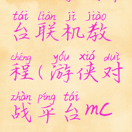 2900游戏平台联机教程(游侠对战平台mc联机教程)