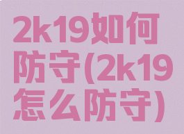 2k19如何防守(2k19怎么防守)