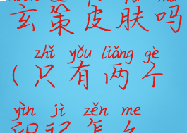 2个王者印记可以拿到玄策皮肤吗(只有两个印记怎么拿玄策皮肤)