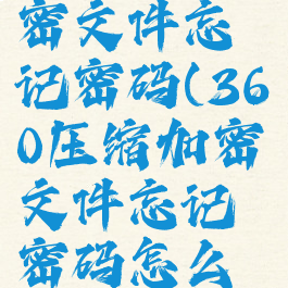 360压缩加密文件忘记密码(360压缩加密文件忘记密码怎么办)