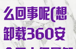 360安全卫士卸载不掉怎么回事呢(想卸载360安全卫士但是卸载不了)