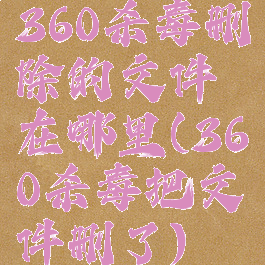 360杀毒删除的文件在哪里(360杀毒把文件删了)