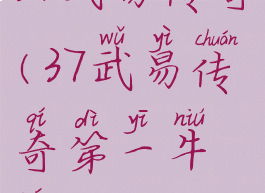 37武易传奇(37武易传奇第一牛人)