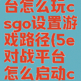 5e对战平台怎么玩csgo设置游戏路径(5e对战平台怎么启动csgo)