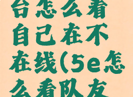 5e对战平台怎么看自己在不在线(5e怎么看队友比赛)