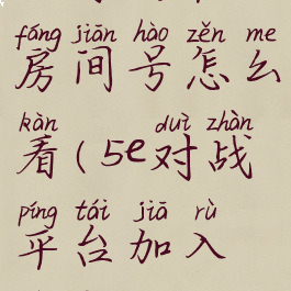 5e对战平台房间号怎么看(5e对战平台加入房间)