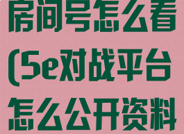 5e对战平台房间号怎么看(5e对战平台怎么公开资料)