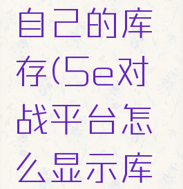 5e怎么看自己的库存(5e对战平台怎么显示库存)