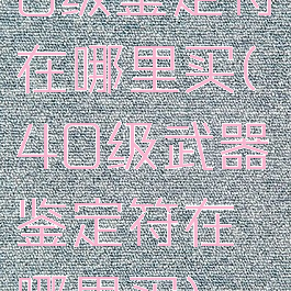 8级鉴定符在哪里买(40级武器鉴定符在哪里买)