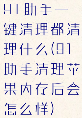 91助手一键清理都清理什么(91助手清理苹果内存后会怎么样)