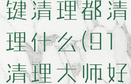 91助手一键清理都清理什么(91清理大师好不好)