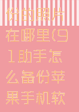 91助手备份的照片在哪里(91助手怎么备份苹果手机软件)