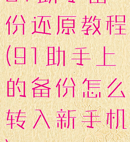 91助手备份还原教程(91助手上的备份怎么转入新手机)