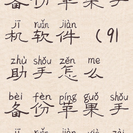 91助手怎么备份苹果手机软件(91助手怎么备份苹果手机软件下载)