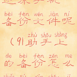 91助手怎么还原手机备份文件呢(91助手上的备份怎么转入新手机)