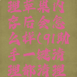 91助手清理苹果内存后会怎么样(91助手一键清理都清理什么)