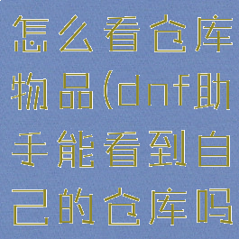 DNF助手怎么看仓库物品(dnf助手能看到自己的仓库吗)
