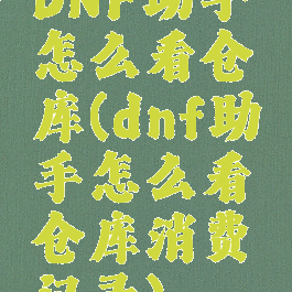 DNF助手怎么看仓库(dnf助手怎么看仓库消费记录)