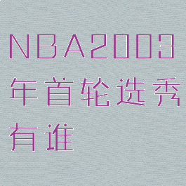 NBA2003年首轮选秀有谁