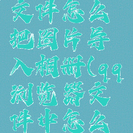 QQ浏览器文件怎么把图片导入相册(qq浏览器文件中怎么导入照片)