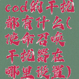 cod的干扰都有什么(使命召唤干扰器在哪里设置)