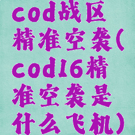 cod战区精准空袭(cod16精准空袭是什么飞机)