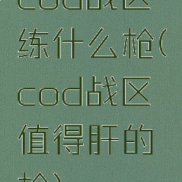 cod战区练什么枪(cod战区值得肝的枪)
